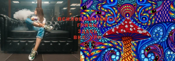 стафф Алексин