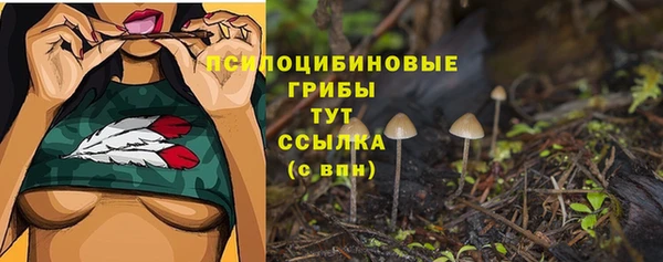 стафф Алексин
