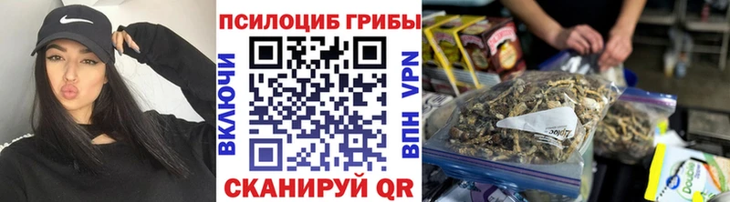 где найти наркотики  Арсеньев  Псилоцибиновые грибы мухоморы 